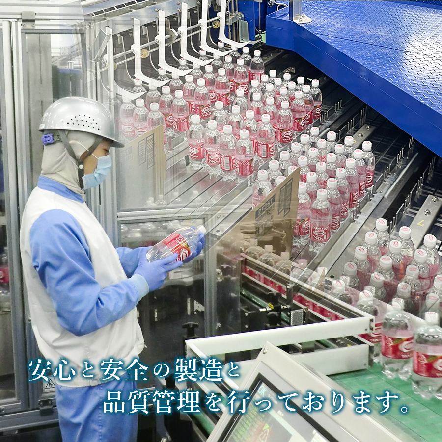 【12ヶ月お届け！】炭酸水 ウィルキンソン タンサン PET1L×1箱(12本入) 定期便 12ヶ月 １箱