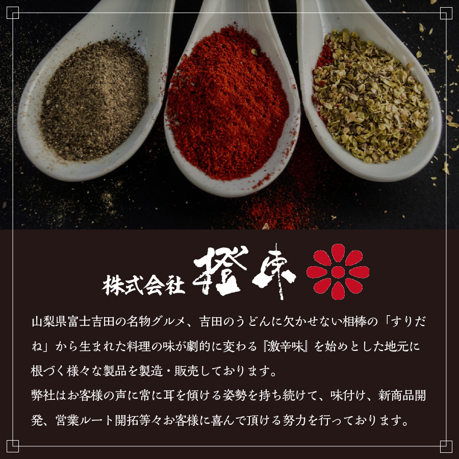 アウトドア用 激辛味 調味料 セット 専用ケース付き