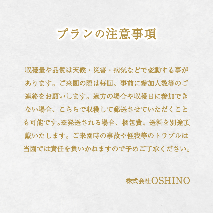 【ぶどうの樹 オーナー制度】シャインマスカット １シーズンオーナープラン(2022年植付け) 5房保証付き