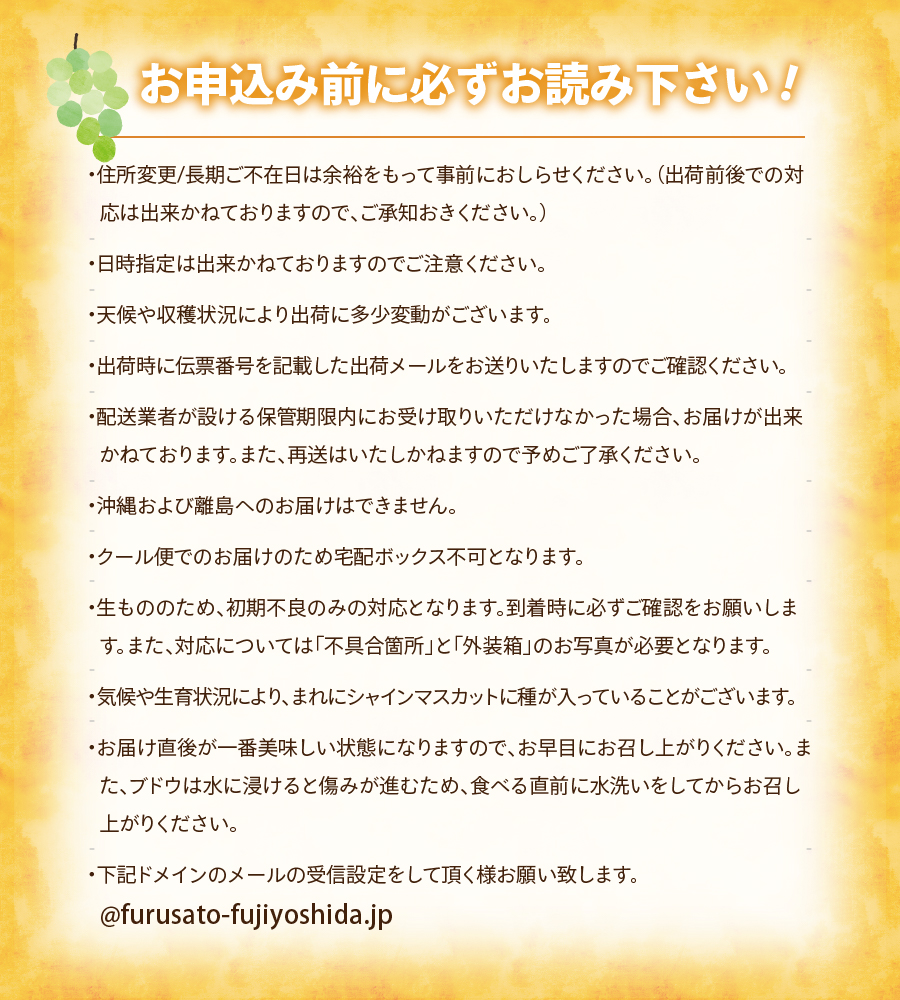 【2回お届け！】旬のフルーツ定期便（おまかせ旬のぶどう・シャインマスカット）