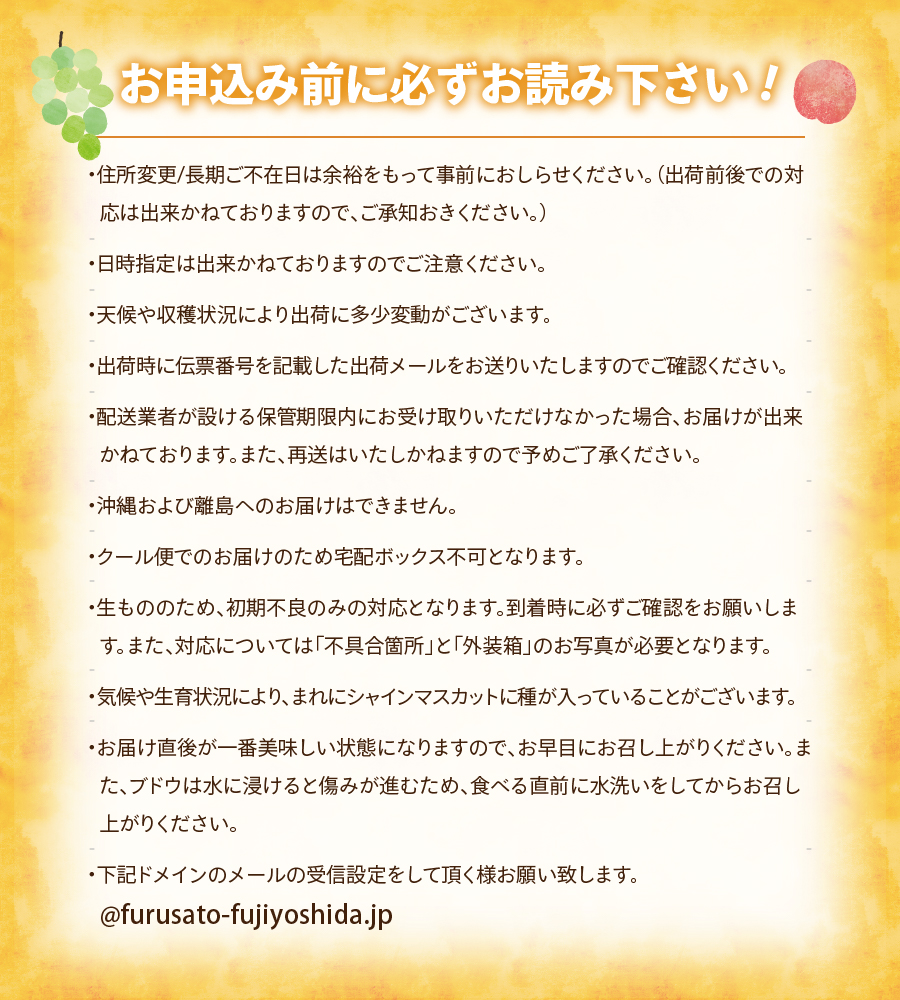 【3回お届け！】旬のフルーツ定期便