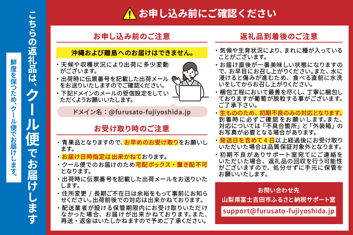 【2026年発送 先行予約】【2回定期便】厳選 旬のフルーツ定期便（桃2kg・黒ぶどう1kg以上）