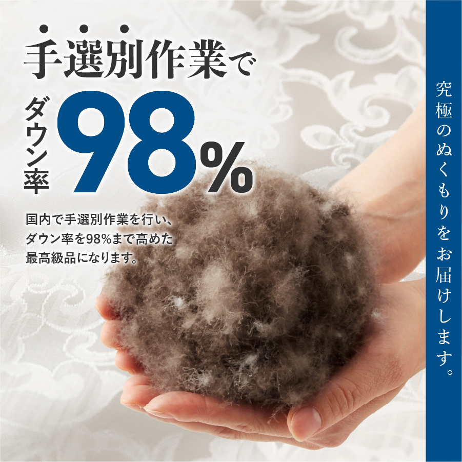 【甲州羽毛ふとん】肌掛けシルクジャガード手選別アイダーダウン（キング）