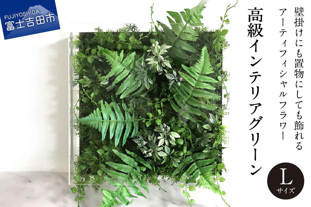 高級インテリアグリーン　Lサイズ