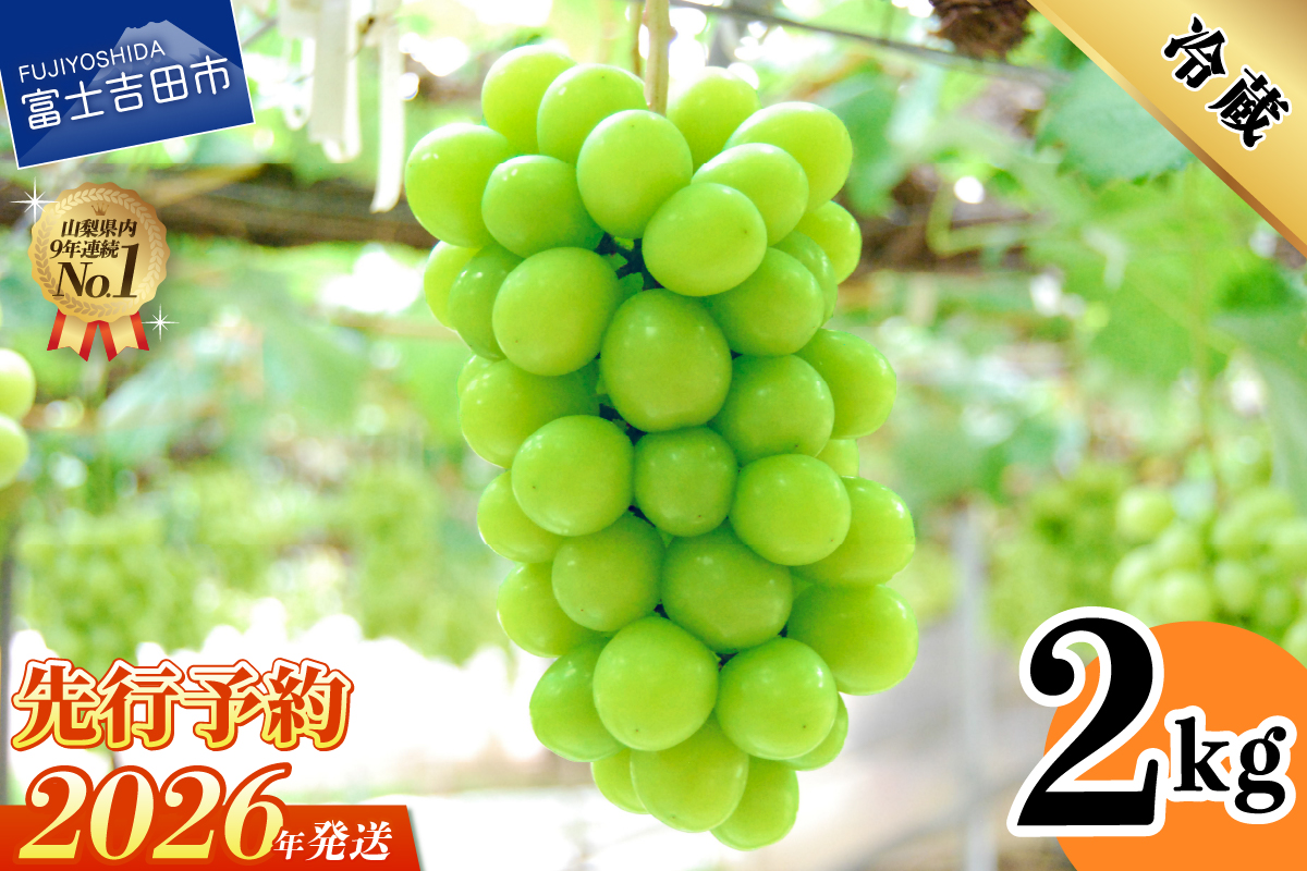 【2026年発送 先行予約】山梨県産シャインマスカット2kg(3～5房)