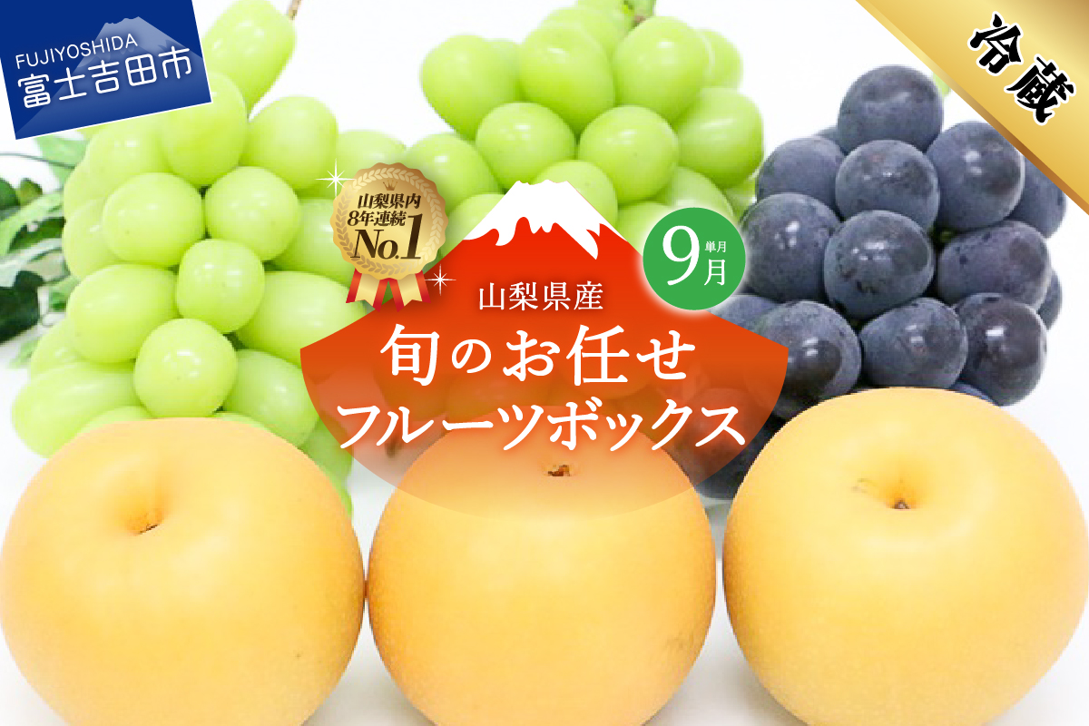 【9月配送】旬のお任せフルーツボックス