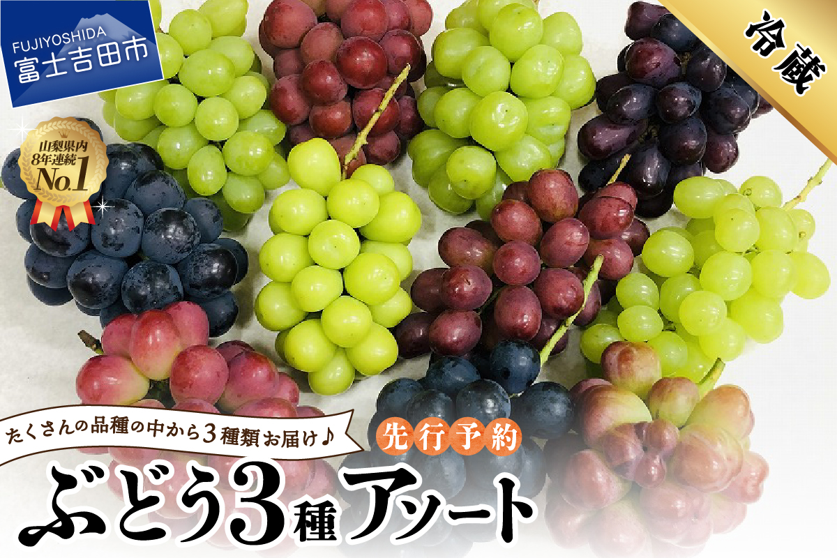 ぶどう　3種アソート