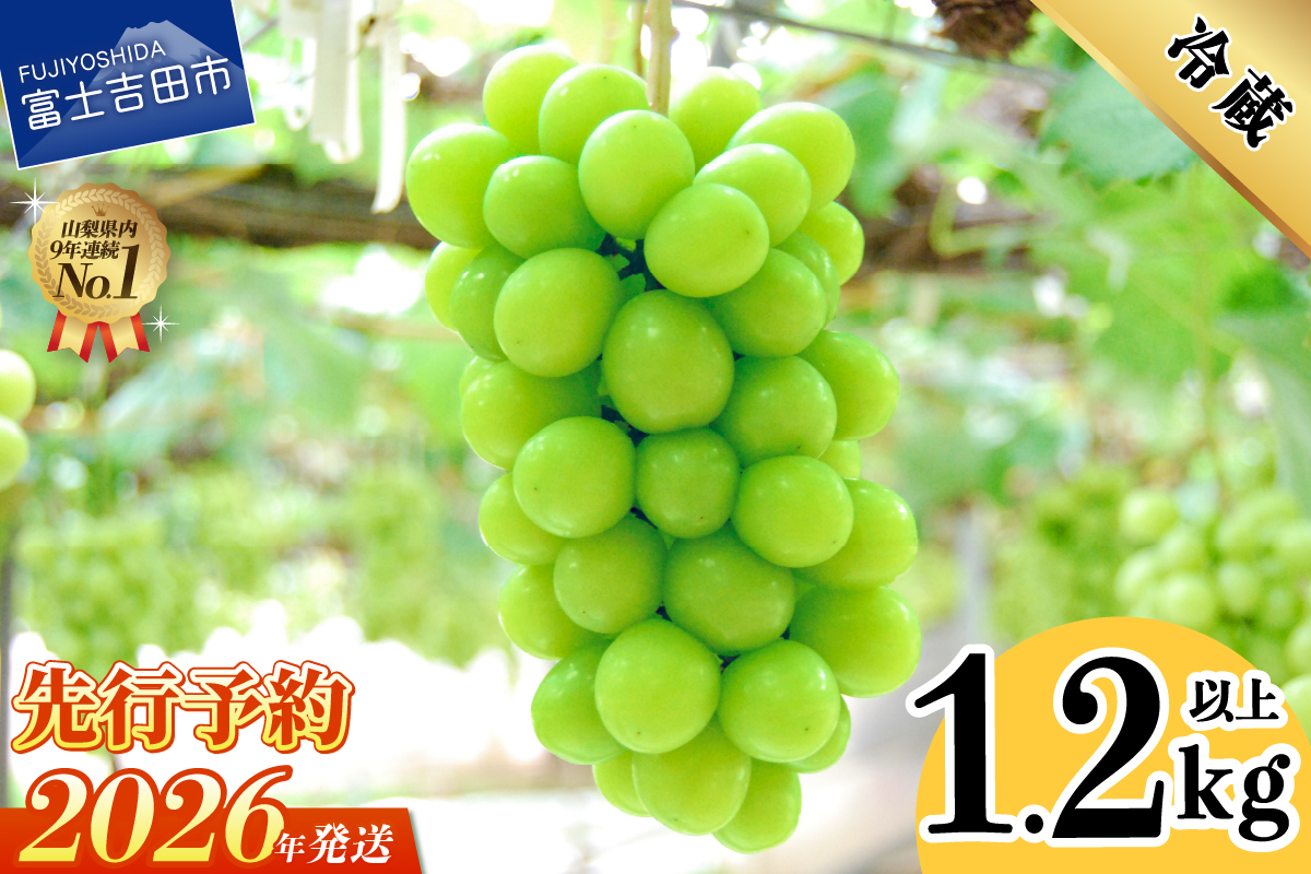 【2026年発送 先行予約】山梨県産 シャインマスカット2～3房 (1.2kg以上)