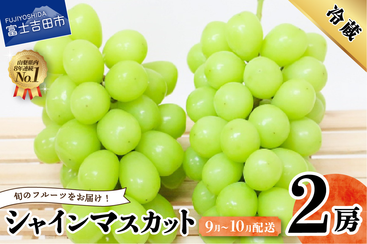 旬のフルーツ シャインマスカット２房【マツコの知らない世界】