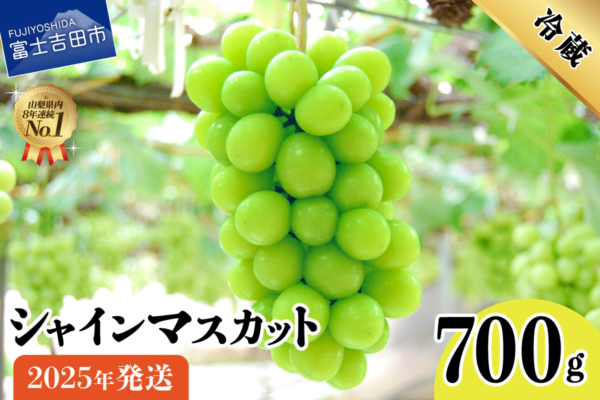 【2025年発送】山梨県産 シャインマスカット700g（1房以上）