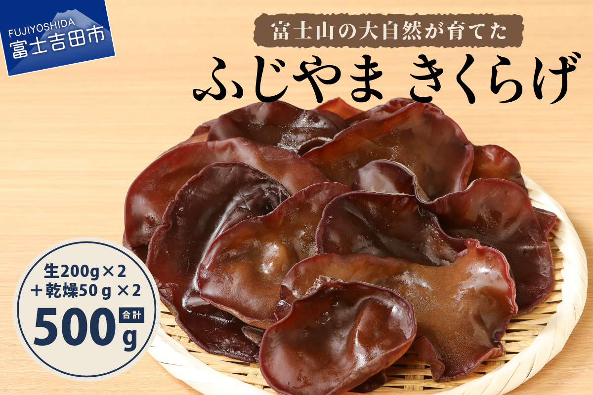 富士山の大自然が育てた「ふじやま きくらげ」(生きくらげ200g×2、乾燥きくらげ50g×2)