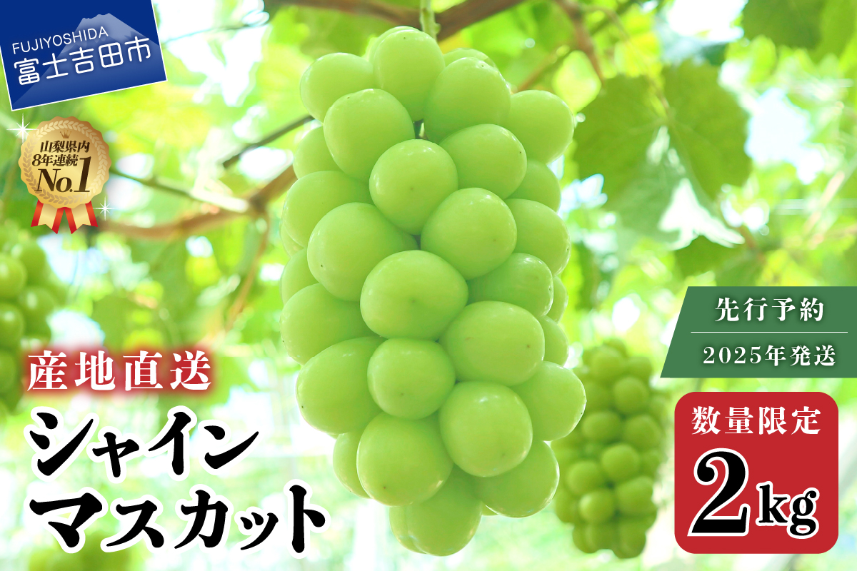 【2025年発送】【数量限定】【期間限定】産地直送 高級シャインマスカット2kg以上（3～4房）