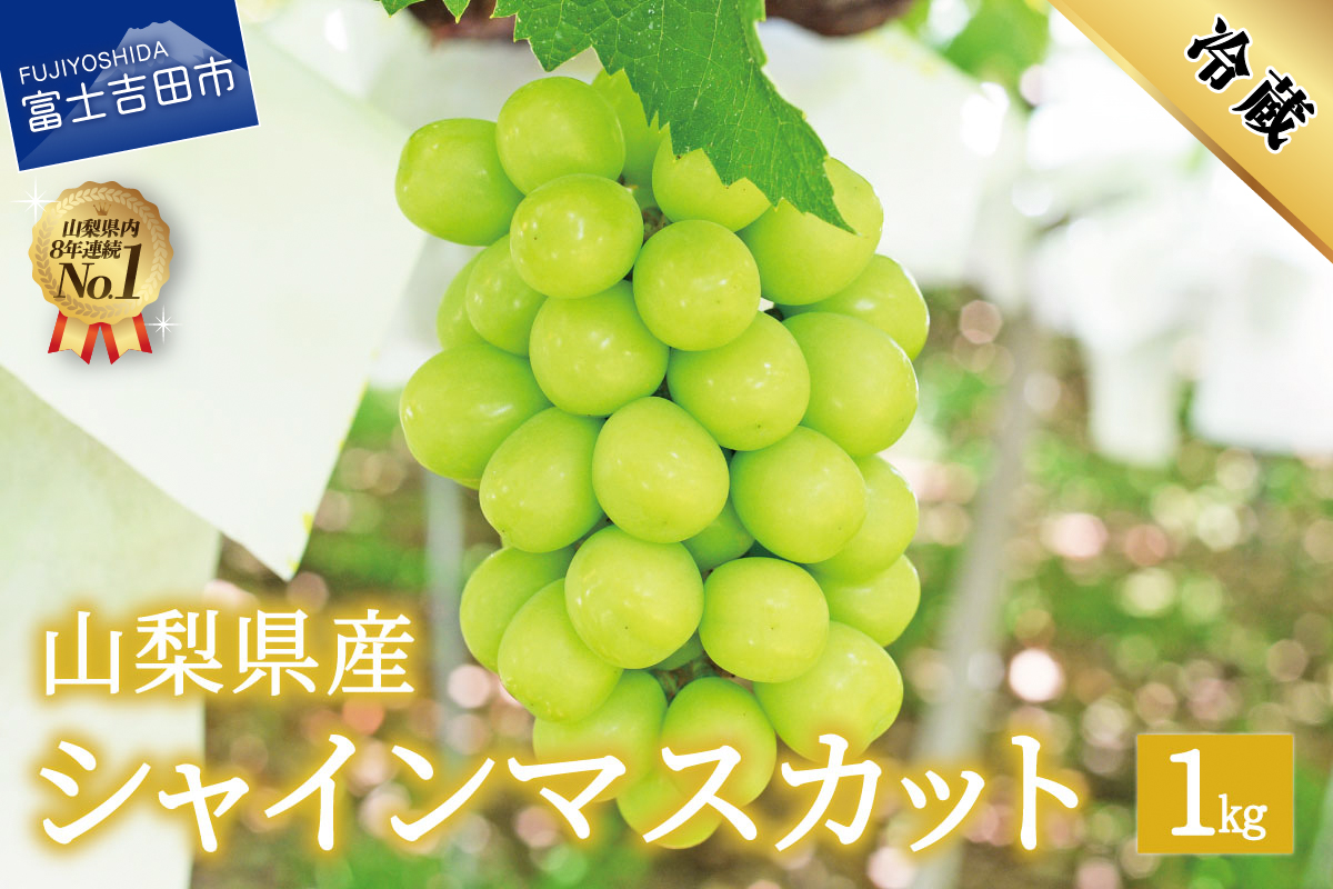 【2025年先行予約】数量限定！山梨県産シャインマスカット約1㎏（2～3房）