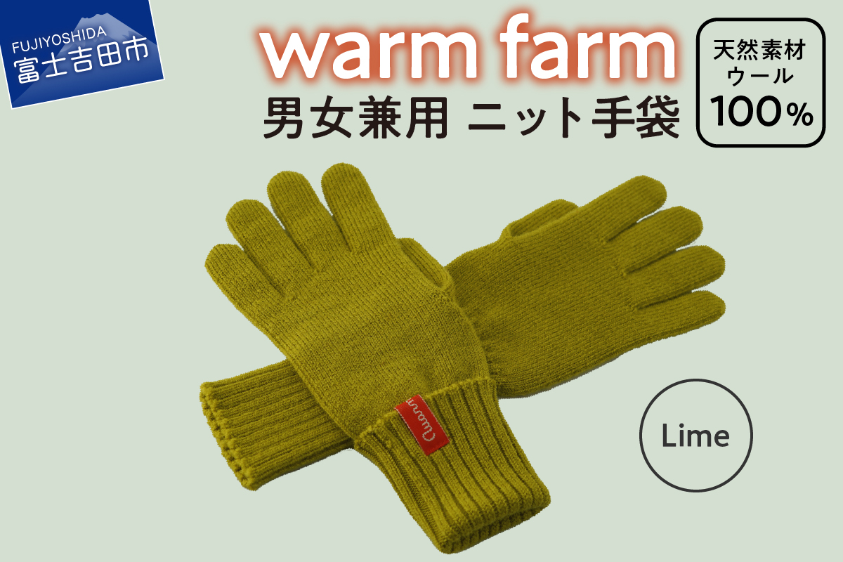 光吸収発熱ウール「ウォームファーム　ニット手袋」ライム
