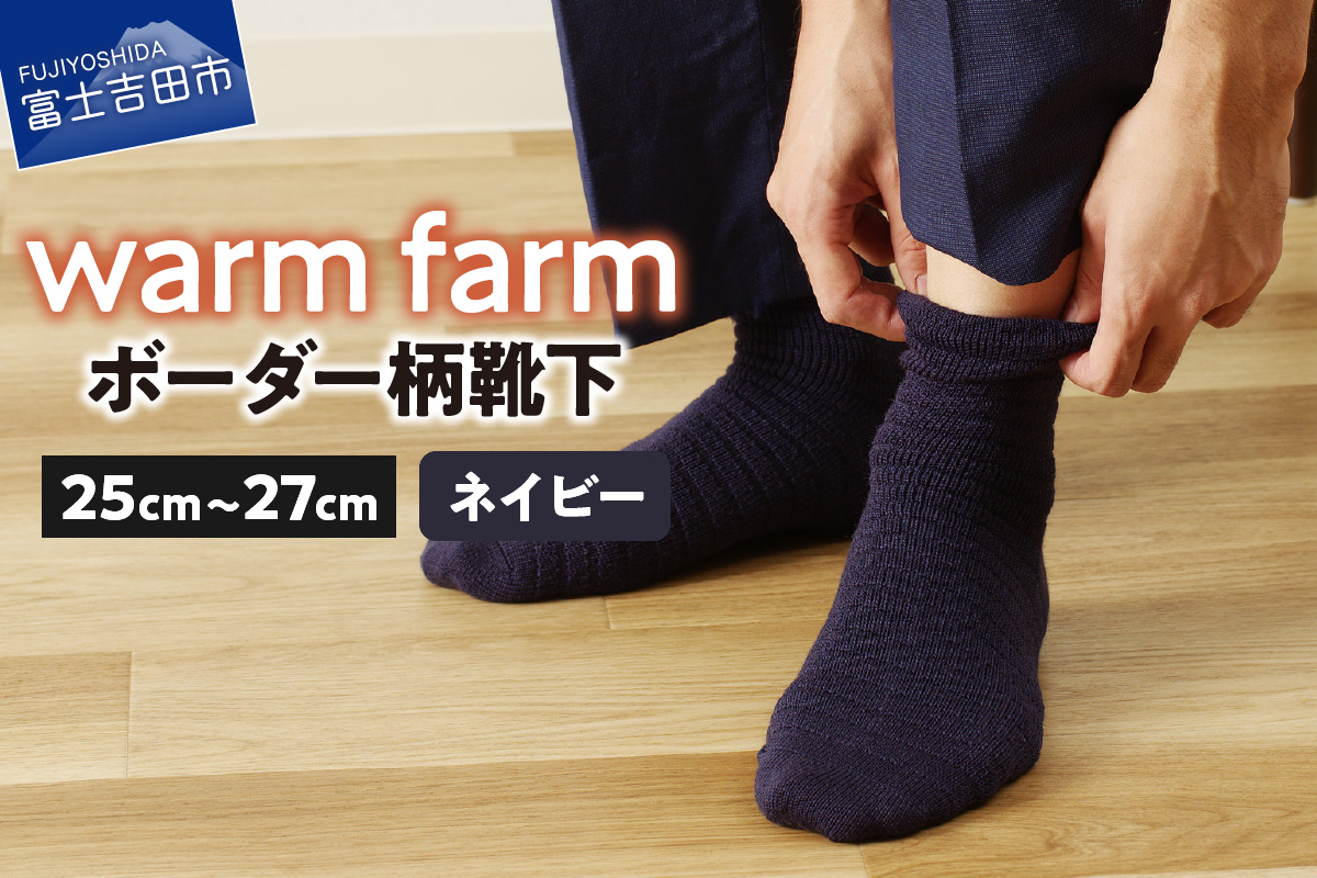 光吸収発熱ウール「ウォームファーム ボーダー柄靴下」（ネイビー）