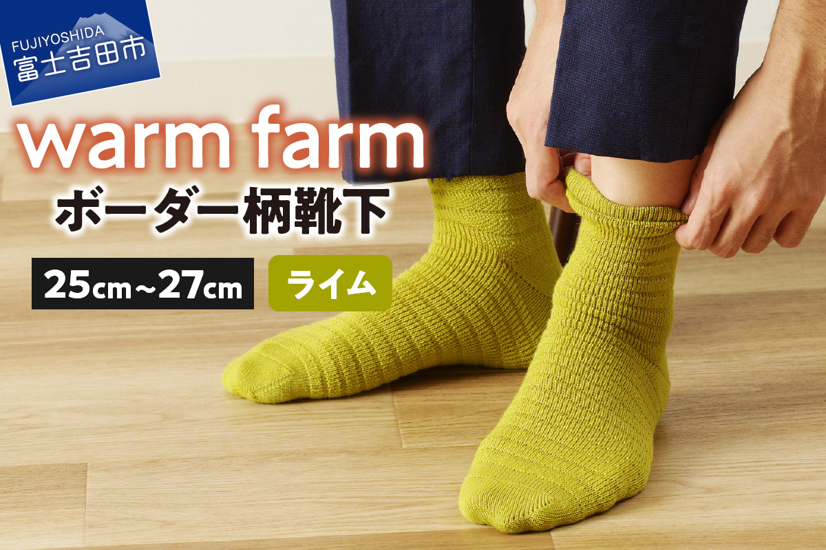 光吸収発熱ウール「ウォームファーム ボーダー柄靴下」（ライム）
