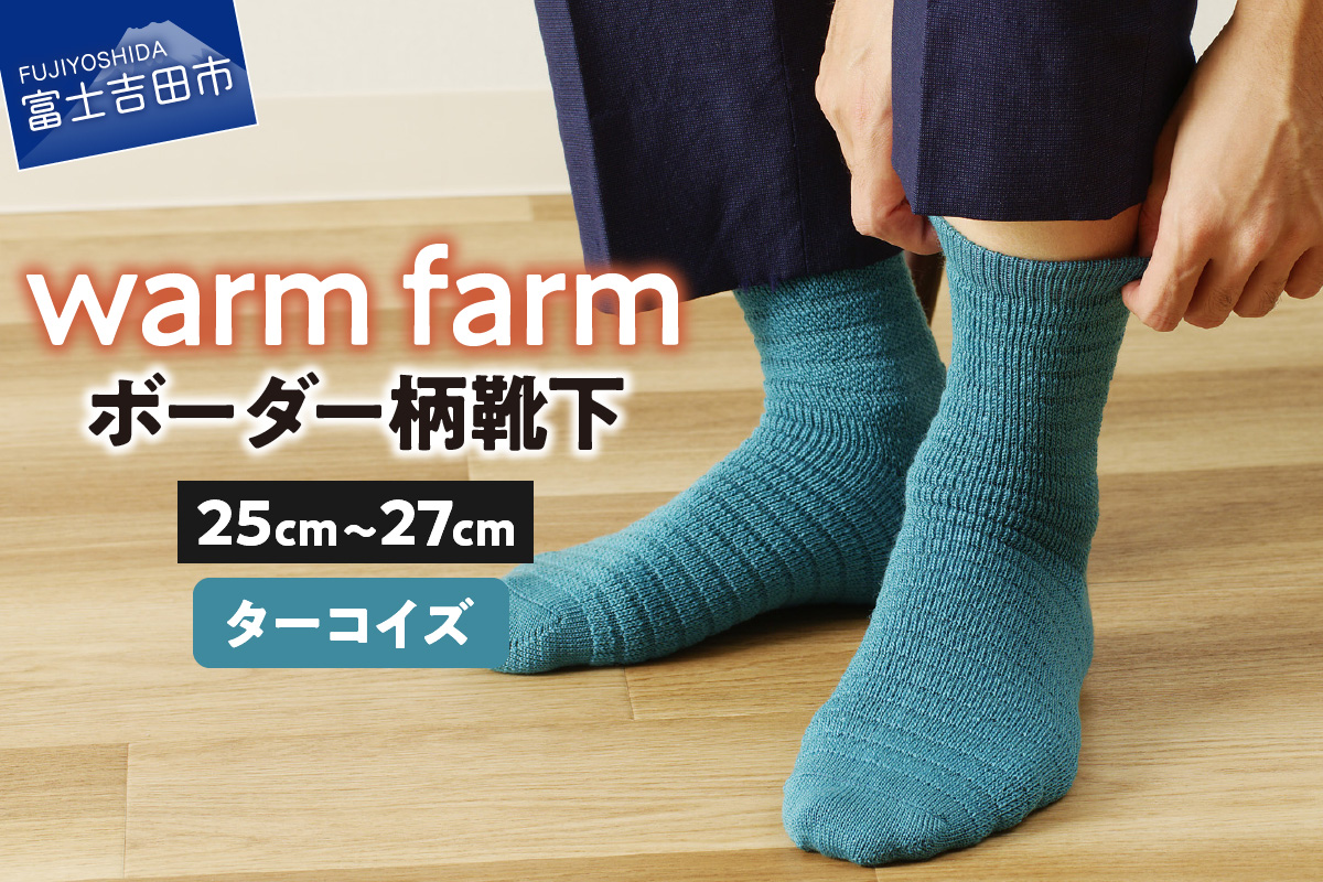 光吸収発熱ウール「ウォームファーム ボーダー柄靴下」（ターコイズ）