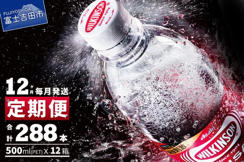 【12ヶ月お届け！】炭酸水 ウィルキンソン　タンサン PET500ml×1箱（24本入）定期便 12ヶ月 １箱