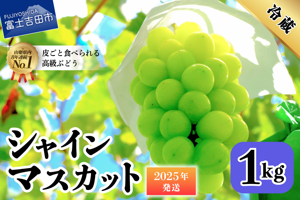 【2025年発送】山梨県産 シャインマスカット 約1kg(2房)