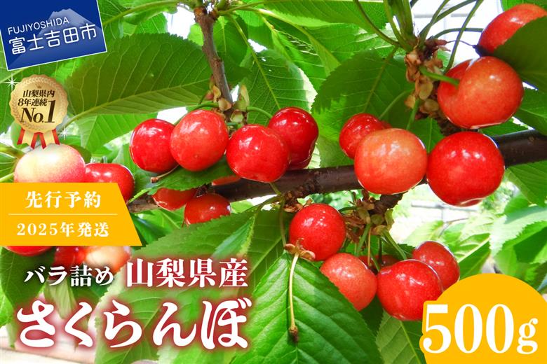 【2025年発送】【数量限定】【期間限定】山梨県産 紅秀峰 さくらんぼ (500g) バラ詰め