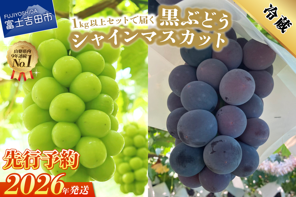 【2026年発送 先行予約】ジューシーで甘さ抜群 シャインマスカットと黒ぶどうセット(1kg以上)