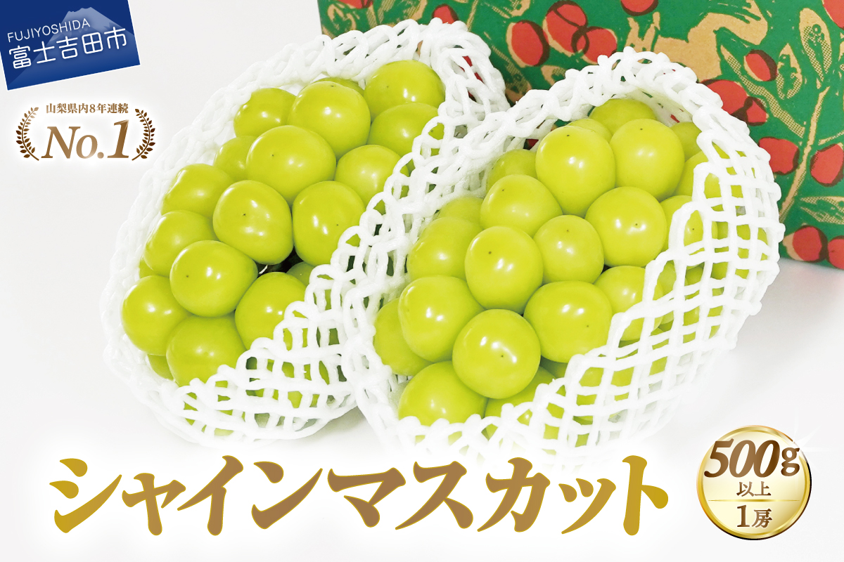 【2026年発送 先行予約】ジューシーで甘さ抜群 厳選シャインマスカット500g