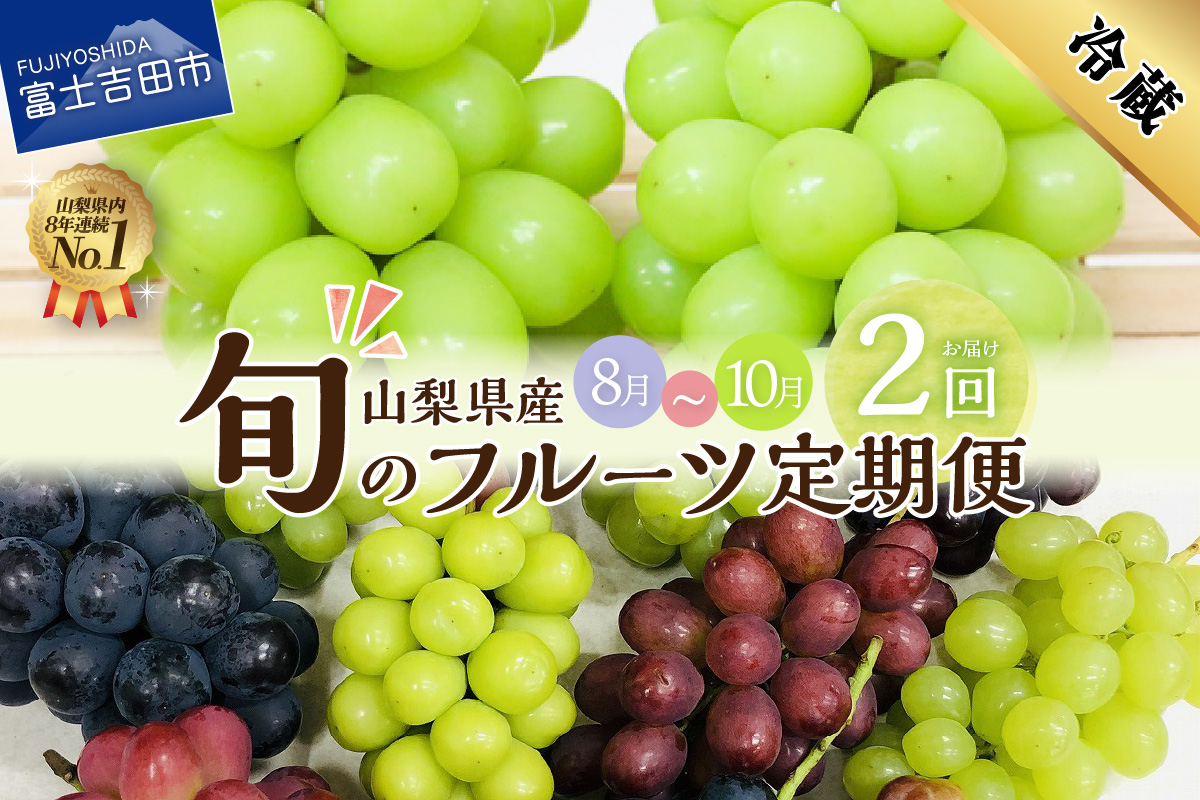 【2回お届け！】旬のフルーツ定期便（おまかせ旬のぶどう・シャインマスカット）