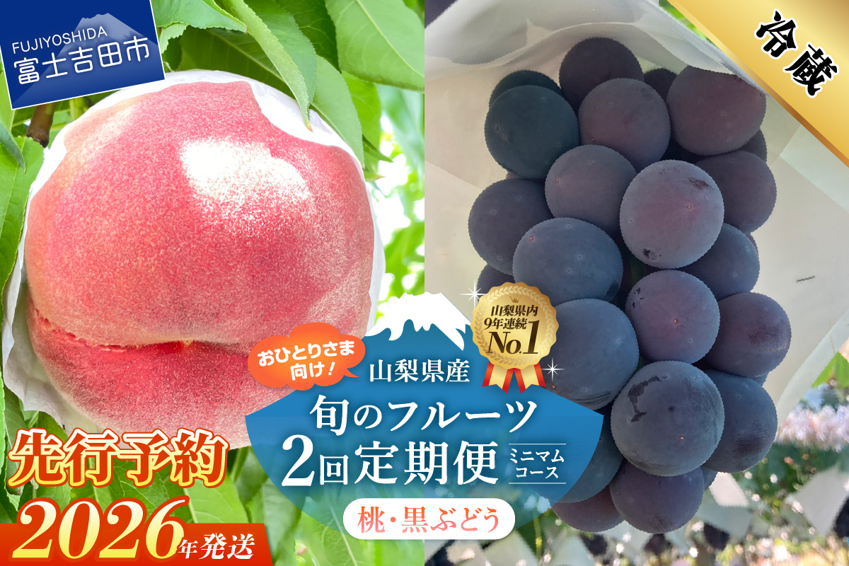 【2026年発送 先行予約】【ミニマム 2回定期便】厳選 旬のフルーツ定期便（桃3玉・黒ぶどう1房）【マツコの知らない世界】
