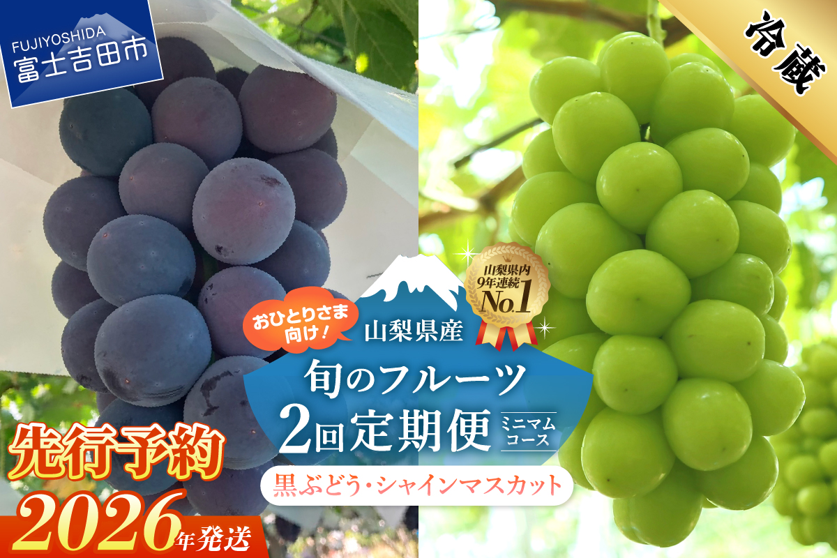 【2026年発送 先行予約】【ミニマム 2回定期便】厳選 旬のフルーツ定期便（黒ぶどう1房・シャインマスカット1房）【マツコの知らない世界】
