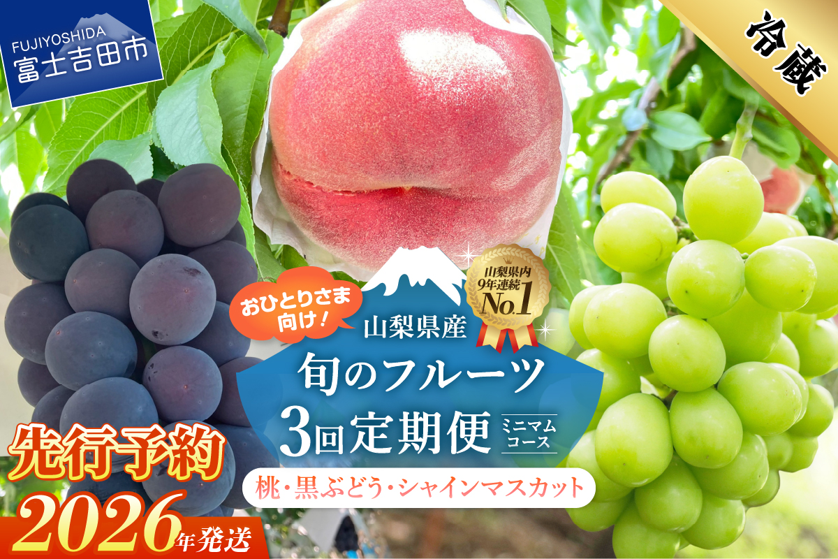 【2026年発送 先行予約】【3回定期便】厳選 旬のフルーツ定期便（桃3玉・黒ぶどう1房・シャインマスカット1房）【マツコの知らない世界】