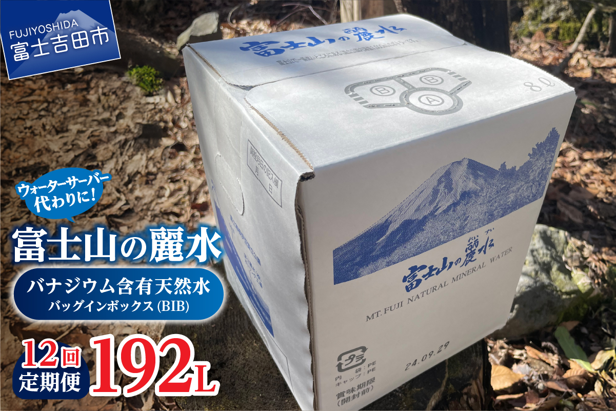 【12か月お届け】富士山の麗水定期便 ８L×２箱