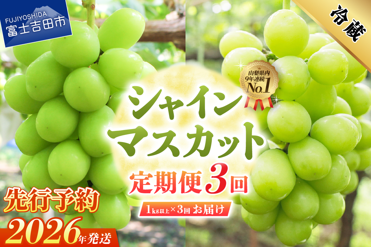 【2026年発送 先行予約】【3回定期便】ジューシーで甘さ抜群 厳選シャインマスカット1kg以上×3回配送