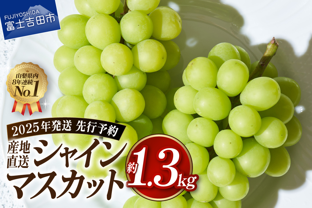 [2025年先行予約]高級 山梨県産 シャインマスカット 2房 (約1.3kg)[マツコの知らない世界]