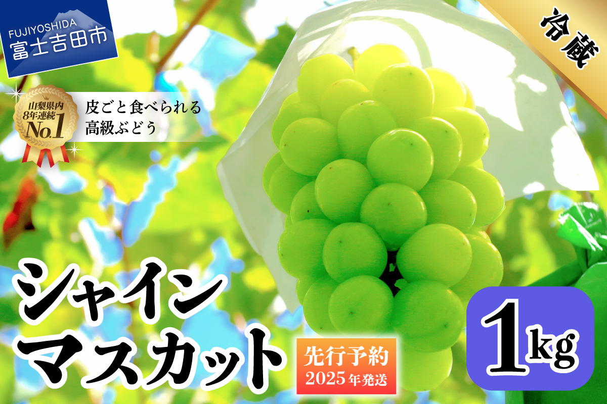 [2025年先行予約]山梨県産 シャインマスカット 約1kg(2房)