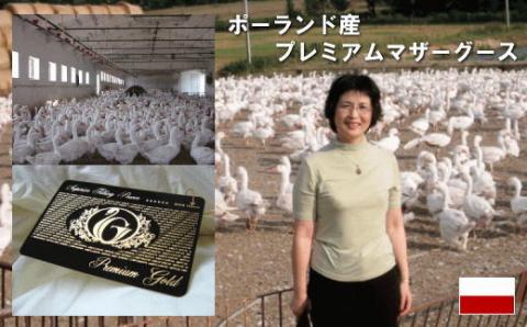 ダブル【プレミアムゴールドラベル】コウダ種ポーランドマザーグース95％羽毛｜掛け布団 【新津】 ダブル