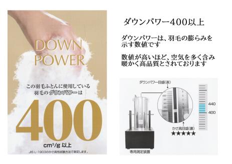 【シングル】都留市の羽毛掛け布団　新2層式キルト　ホワイトダウン93％　ダウンパワー400以上（防ダニ・抗菌・防臭）　アリエス（ブルー系）