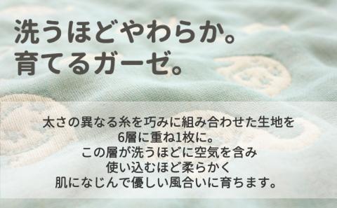 ハーフサイズ【HanzamCocoa】 おなかけっと（6重ガーゼ） (100×140cm) マルチクレヨン ｜ ガーゼケット タオルケット 木綿 綿100 掛け布団 保育園 小学生 ベビー お昼寝 毛 マルチクレヨン