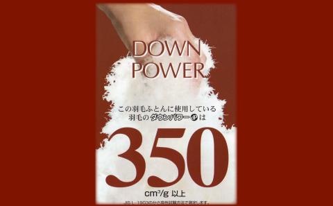 色柄おまかせ羽毛掛ふとん Ｓシングルサイズ