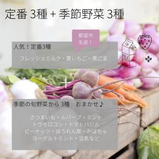 採れたて野菜のジェラートカップ ６個入り