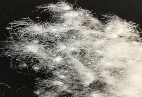 【ダブル】羽毛合掛けふとん　プレミアム（190cm×210cm）