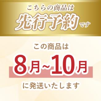 【2026年先行予約】山梨県産　シャインマスカット 1.1kg (２房～3房)　山梨 フルーツ 人気 甘い 糖度 ぶどう シャイン マスカット 名産 糖度 大粒 種無し 種なし やまなし 葡萄 ブドウ フルーツ 果物 くだもの シャイン マスカット デザート スイーツ　フルーツ　果実　ぶどう 1.1kg