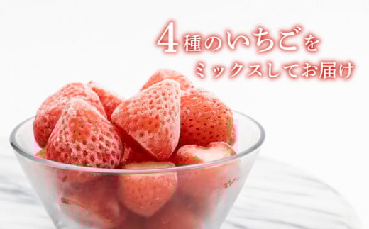 冷凍いちご 5袋詰合せセット