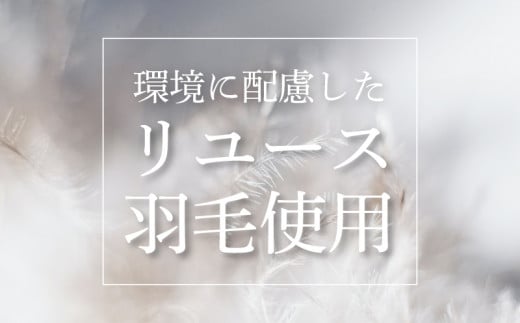 【肌掛け布団】羽毛肌掛け布団　ダウン80％　（シングル：150cm×210cm）【リユース羽毛】【ＲＥＲＥＸ】 ｜ 肌掛け 羽毛 ダウン