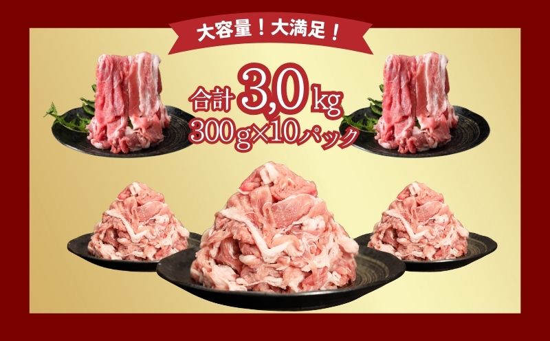 【9/1申し込みより冷凍発送】　訳あり！【幻の銘柄豚】富士湧水ポークの切り落とし　3.0kg　豚肉　切り落とし　国産豚　小分け　炒め物　不揃い　訳アリ　わけあり