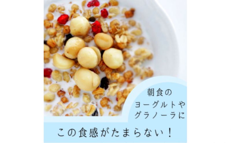 マカダミアナッツ600ｇ ナッツ　おつまみ　ロースト加工　健康　美容　ヘルシー　無塩 マカダミアナッツ600ｇ