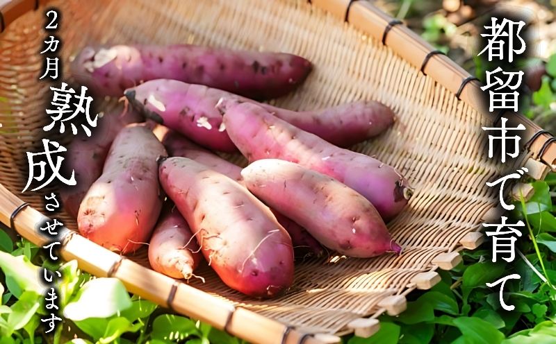 富士山の湧水で育った焼きいも　さつまいも　サツマイモ　焼き芋　健康志向　美容　食物繊維　しっとり　熟成 1㎏