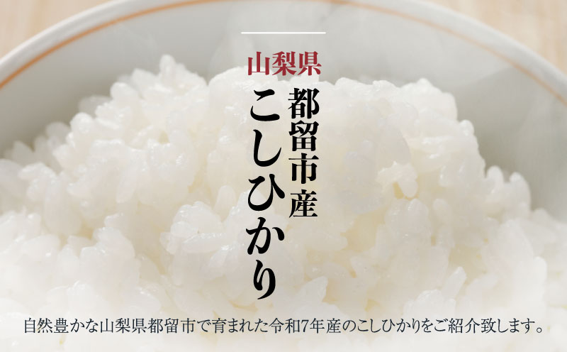 【令和７年産新米・予約】山梨県都留市産こしひかり[10kg]　米　コメ　こめ　新米　コシヒカリ　こしひかり　山梨　山梨県