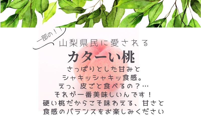 【2026年　先行予約】日本一の産地山梨県産　朝採れカターい桃２Kg（5～8房） モモ なつっこ 夢みずき あかつき スイーツ ピーチ フルーツ デザート お祝い プレゼント くだもの 甘い 糖度 硬い桃