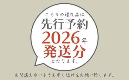 【期間限定】【数量限定】 シャインマスカット スペシャルサンクス約1.2kg（2～3房）【2026年先行予約】 | フルーツ 人気 甘い 糖度 山梨  種無し 種なし 山梨 やまなし 山梨県産 葡萄 ブドウ フルーツ 果物 くだもの シャイン マスカット ぶどう デザート スイーツ
