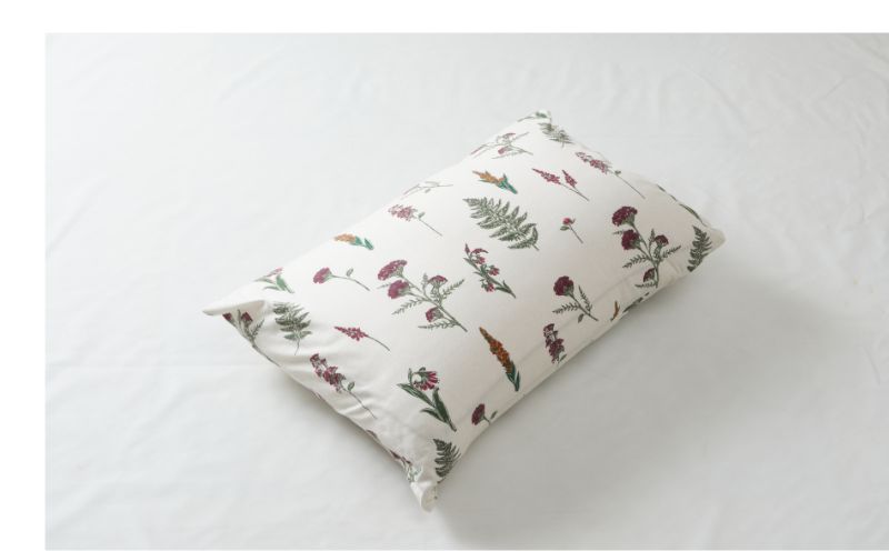 Mサイズピロケース　ダックス　DK583253-3